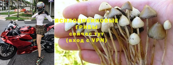 молекула духа Надым