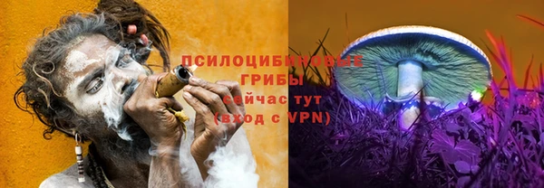 трава Усмань