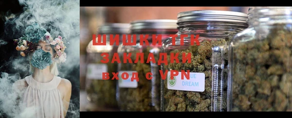 гашик Кодинск