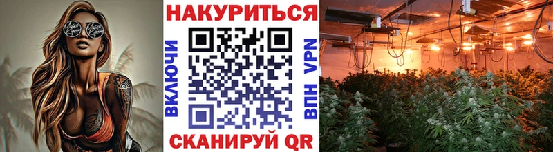 наркошоп  Чудово  hydra онион  Канабис OG Kush 