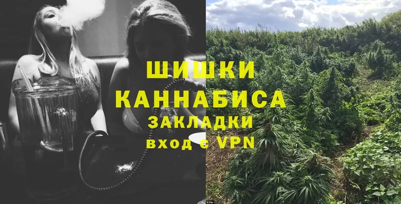 Канабис OG Kush  Чудово 